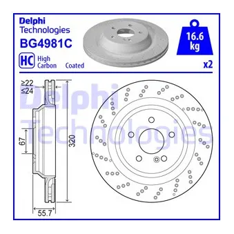 Jeu de 2 disques de frein arrière DELPHI BG4981C