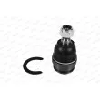 Rotule de suspension MOOG TO-BJ-4992 - Visuel 2