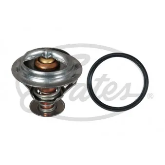 Thermostat d'eau GATES TH58392G1