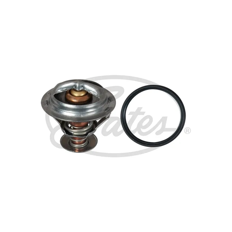 Thermostat d'eau GATES TH58392G1