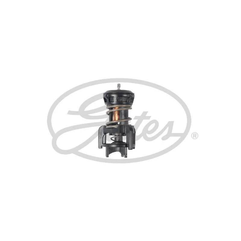 Thermostat d'eau GATES TH58492G1