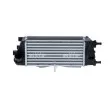 Intercooler, échangeur NRF 30341 - Visuel 1