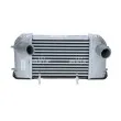 Intercooler, échangeur NRF 30355 - Visuel 1