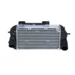 Intercooler, échangeur NRF 309049 - Visuel 1