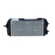 Intercooler, échangeur NRF 309049 - Visuel 3