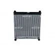 Intercooler, échangeur NRF 30911 - Visuel 1