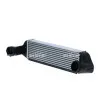 Intercooler, échangeur NRF 30975 - Visuel 2