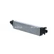 Intercooler, échangeur NRF 30981 - Visuel 2