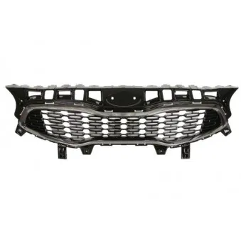 Grille de radiateur BLIC 6502-07-3268991P