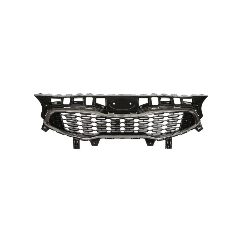 Grille de radiateur BLIC 6502-07-3268991P