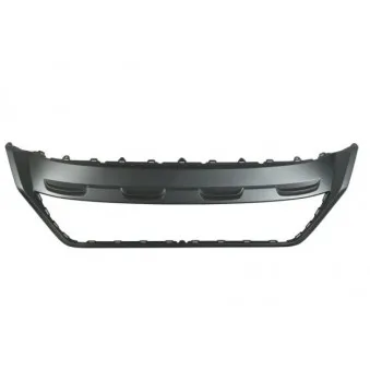 Grille de radiateur BLIC 6502-07-9565990P