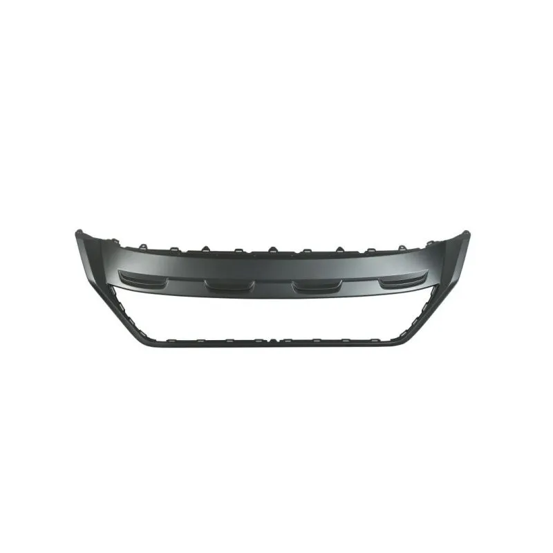 Grille de radiateur BLIC 6502-07-9565990P