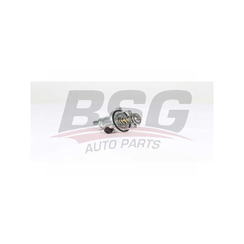 Thermostat d'eau BSG BSG 15-125-005