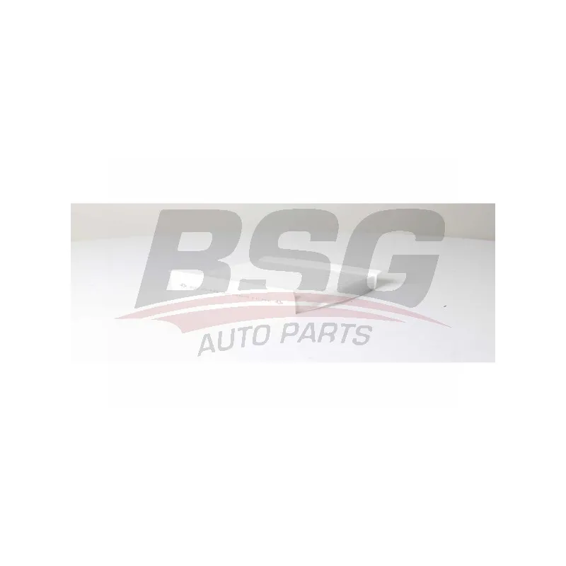 Filtre, air de l'habitacle BSG BSG 25-145-002