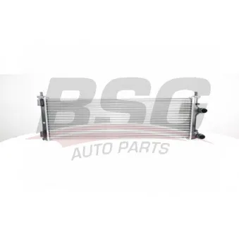 Radiateur, refroidissement du moteur BSG BSG 25-520-002