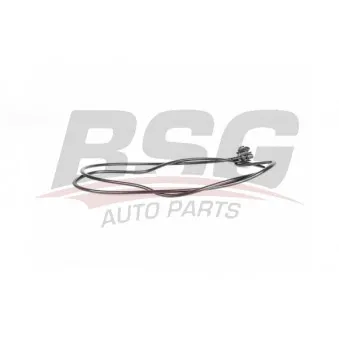 Durite de radiateur BSG BSG 70-720-205