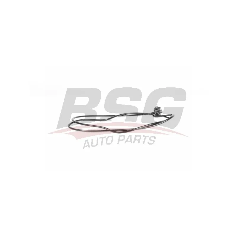 Durite de radiateur BSG BSG 70-720-205