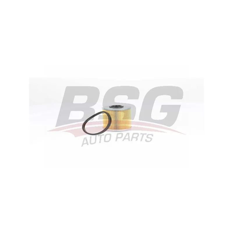 Filtre à carburant BSG BSG 75-130-011