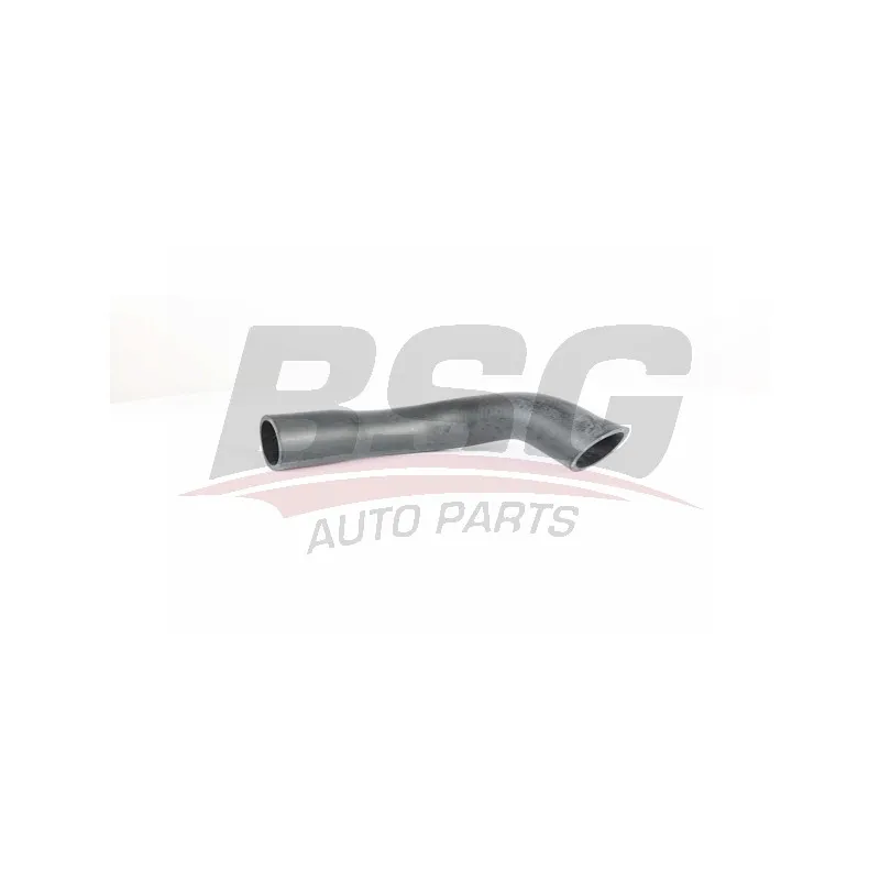 Gaine de suralimentation BSG BSG 90-720-155