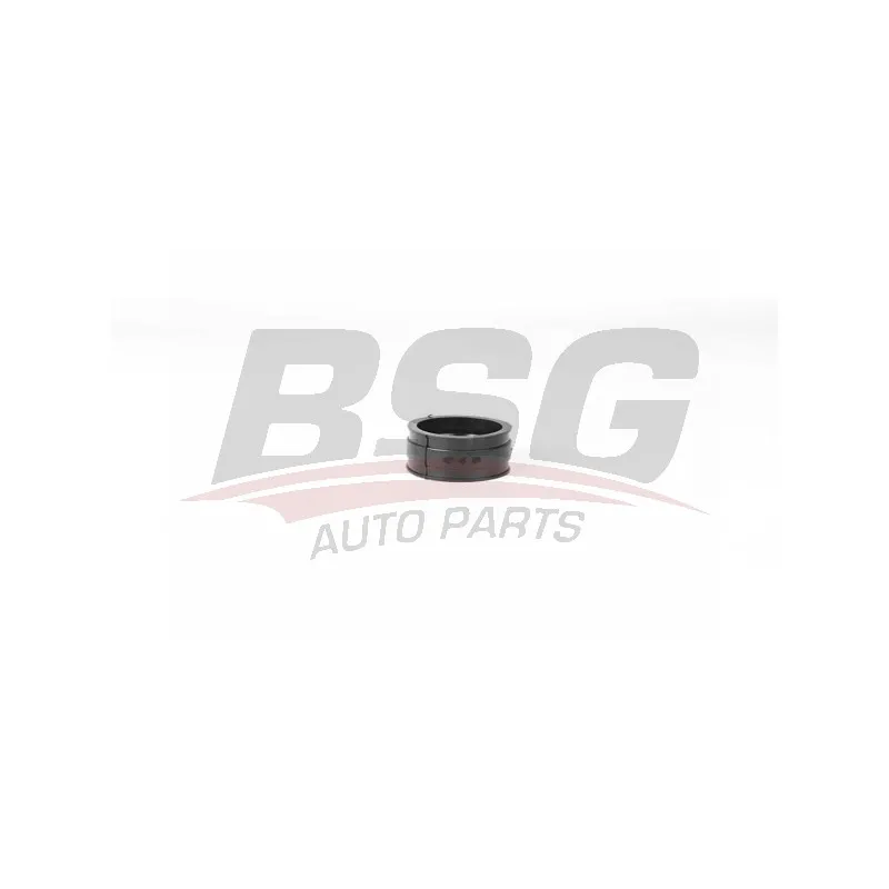 Gaine de suralimentation BSG BSG 90-720-159