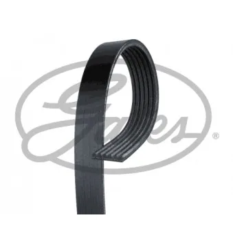 Courroie trapézoïdale à nervures GATES 6PK779SF