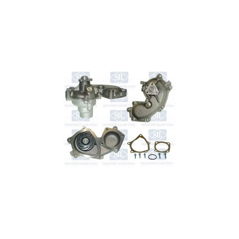 Pompe à eau Saleri SIL PA1218