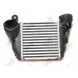 Intercooler, échangeur ABAKUS 053-018-0008 - Visuel 2