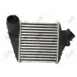 Intercooler, échangeur ABAKUS 053-018-0012 - Visuel 2