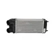 Intercooler, échangeur NRF 30473 - Visuel 1