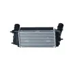 Intercooler, échangeur NRF 309050 - Visuel 3