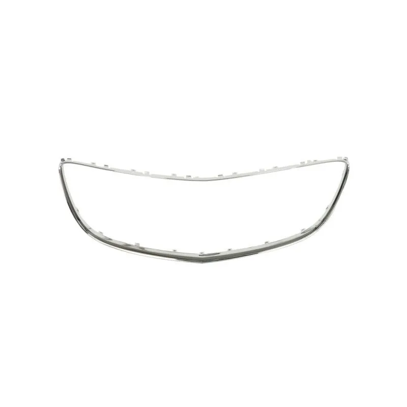 Baguette et bande protectrice, grille de radiateur BLIC 6502-07-5079999P