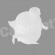Vase d'expansion, liquide de refroidissement CALORSTAT BY VERNET ET0086C1 - Visuel 1