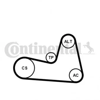 Jeu de courroies trapézoïdales à nervures CONTITECH 6PK1200K2