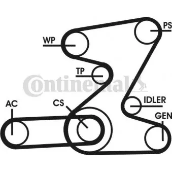 Jeu de courroies trapézoïdales à nervures CONTITECH 6PK2080D2