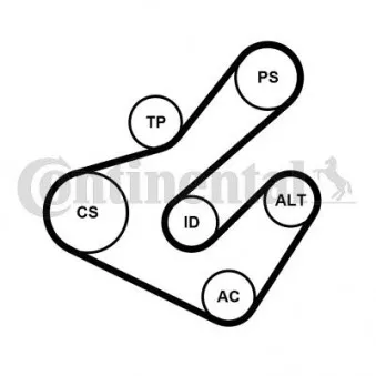 Jeu de courroies trapézoïdales à nervures CONTITECH 7PK1795K2