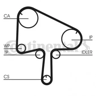 Courroie crantée CONTITECH CT1098