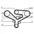 Courroie crantée CONTITECH CT1135 - Visuel 1