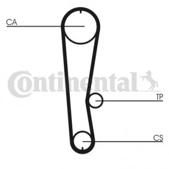 Courroie crantée CONTITECH CT936