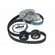 Pompe à eau + kit de courroie de distribution AUTOMEGA 160004210 - Visuel 2