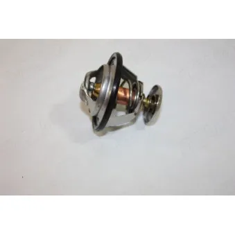 Thermostat d'eau AUTOMEGA 160080110