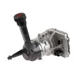 Pompe hydraulique, direction TREEZER TRE30036 - Visuel 1