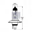 Ampoule, projecteur principal DT 9.78104 - Visuel 3