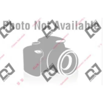 Jeu de 2 disques de frein avant DJ PARTS BD1799