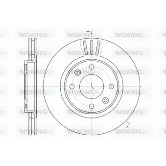 Jeu de 2 disques de frein avant WOKING D6603.10