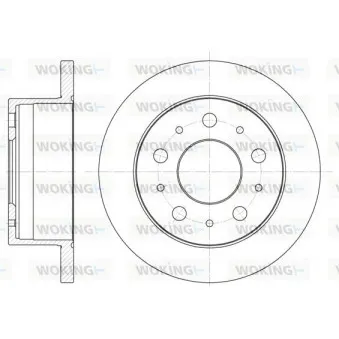 Jeu de 2 disques de frein arrière WOKING D6741.00