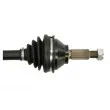Arbre de transmission avant droit POINT GEAR PNG72187 - Visuel 2