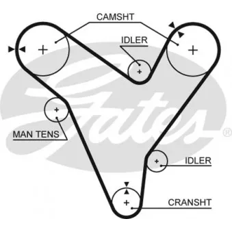 Courroie de distribution GATES
