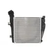 Intercooler, échangeur THERMOTEC DAA020TT - Visuel 2