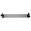 Intercooler, échangeur THERMOTEC DAF007TT - Visuel 1