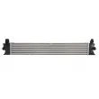 Intercooler, échangeur THERMOTEC DAF007TT - Visuel 2